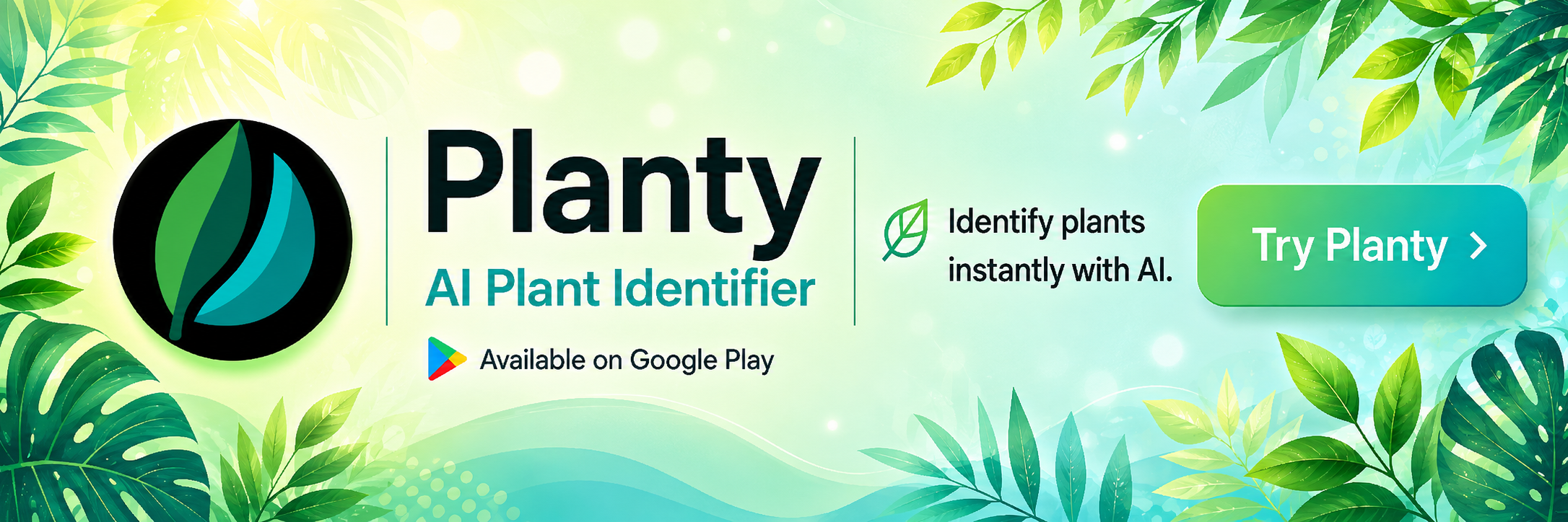 Planty AI Plant Identifier banner with a Google Play download prompt