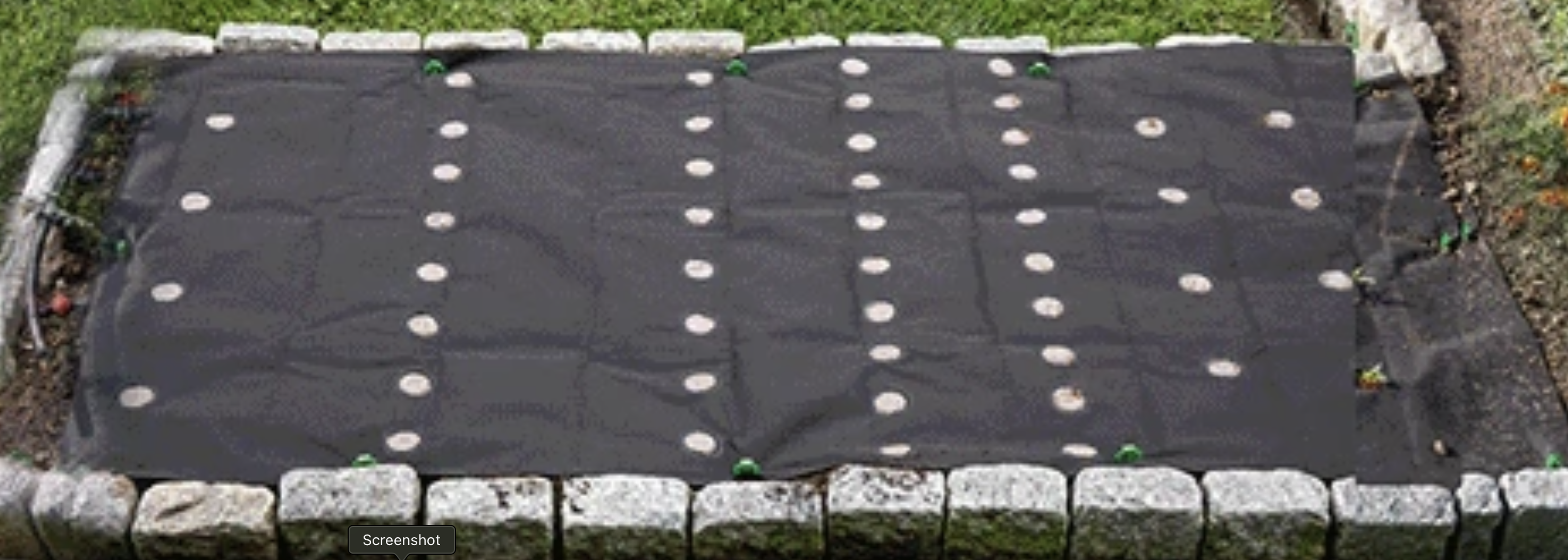 Seed sheet product designed for gardeners showing biodegradable mat with perfectly spaced seeds